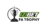 كأس الاتحاد الإنجليزي للهواة