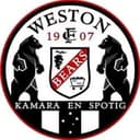 ويستون ووركيرز