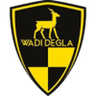 نادي وادي دجلة