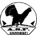 وليمبيك زرنيتي