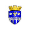 Edineţ