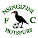 نسينجيزيني هوتسبورس