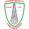 وايسيدي كيلتيك