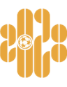 شينزهين 2028