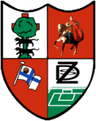 زاموديو
