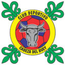 كابيزا بويي