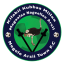 نيجيللي ارسي