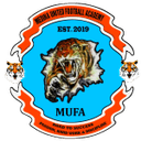 ميدينا ونيتيد