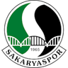 صقارية سبور