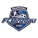 بينزجاو سالفيلدين