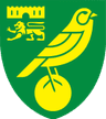 نورويتش سيتي