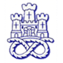 نيوكاستلي توون