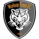 وركشوب تاون