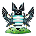 نادي سالزبري سيتي