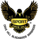 ووي بلاككبيردس