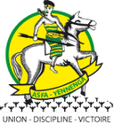 أسفا ينينغا