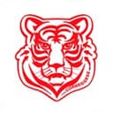 كورريججيسي