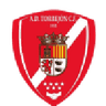 تورريجن